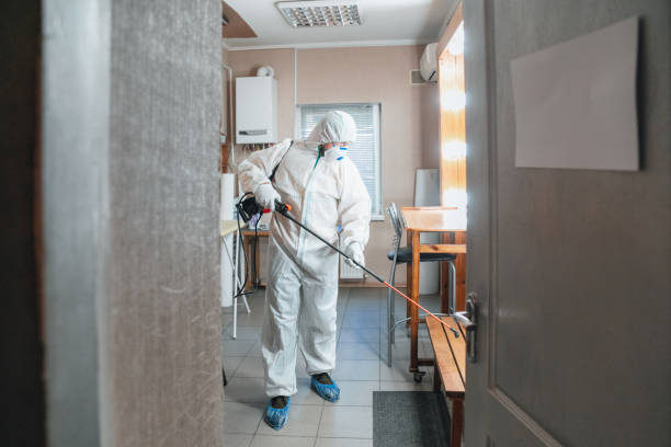 Best Biohazard Mold Removal  in College Place, WA