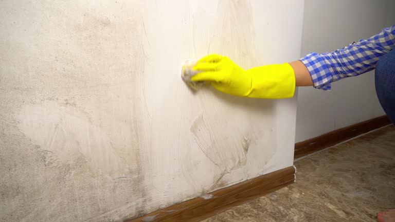 Best Mold Remediation for Healthcare Facilities  in College Place, WA